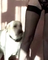 album-cover