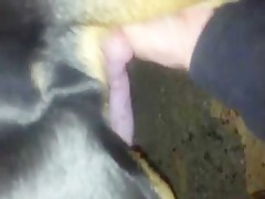Woman fucking whit dog