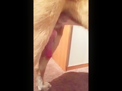 Montando la muy pilla