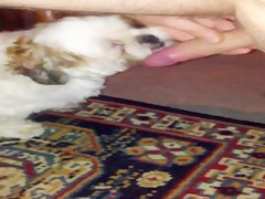 Thumb 10
