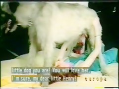 Dog in chat
