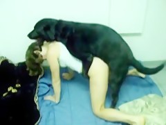 Petlust - Doggy White