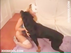 animal lover