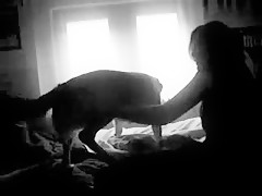 money for dogsex