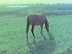 Mature fucking ass and sucking