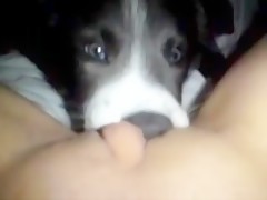 her lil puppy