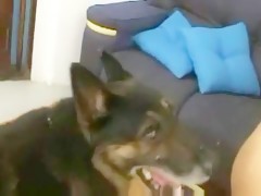tow girls get fucked by my dog 2