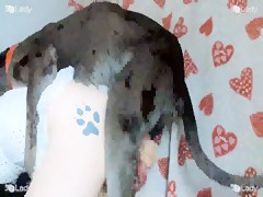 Dog loves me