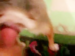 El chocho de mi perra que rico