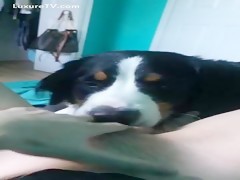 Lamiendo el chocho de ella