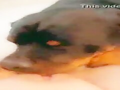 Short lick vid
