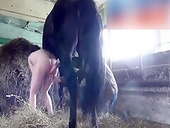 Na Pica do Cavalo