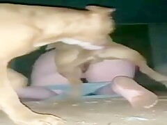 Abotonada